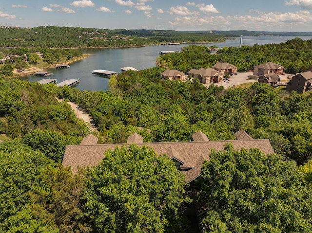 10 Treehouse Ln Unit 11, Branson, MO 65616 - drone / aerial view of a nearby body of water and a forest