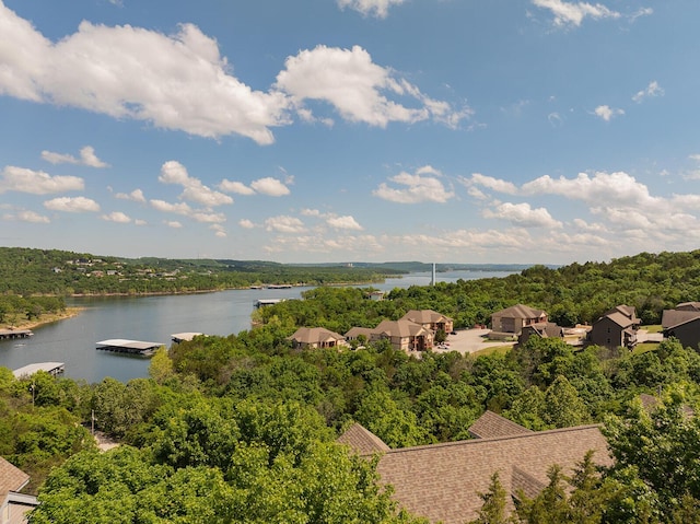 10 Treehouse Ln Unit 11, Branson, MO 65616 - drone / aerial view of a nearby body of water and a forest