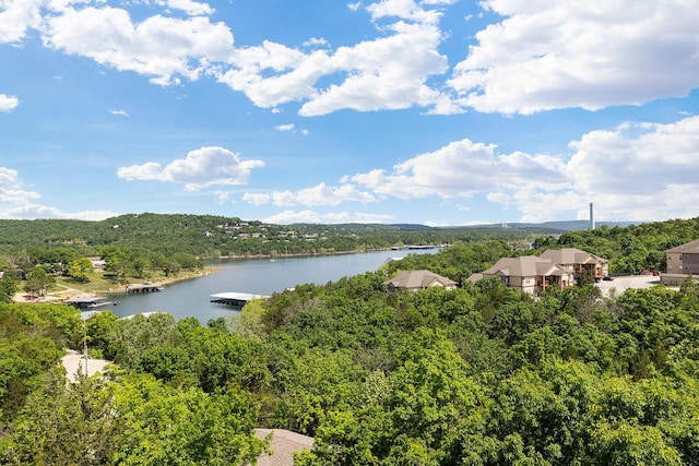 10 Treehouse Ln Unit 11, Branson, MO 65616 - water view with a forest and a floating dock