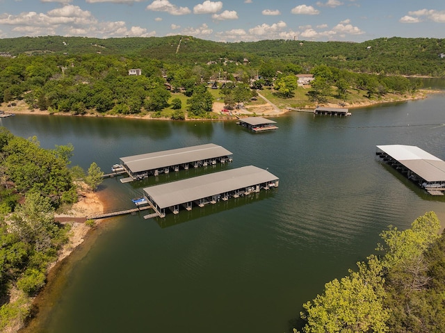 10 Treehouse Ln Unit 11, Branson, MO 65616 - bird's eye view of a large body of water and a forest