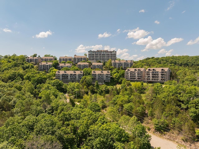 10 Treehouse Ln Unit 11, Branson, MO 65616 - drone / aerial view of a forest