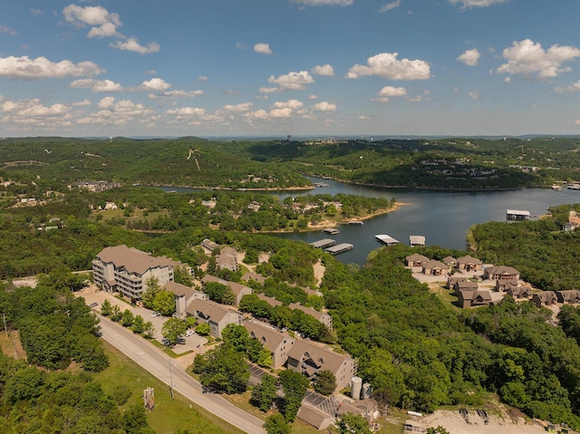 10 Treehouse Ln Unit 11, Branson, MO 65616 - drone / aerial view of a large body of water
