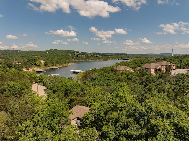 10 Treehouse Ln Unit 11, Branson, MO 65616 - aerial view of a nearby body of water and a forest