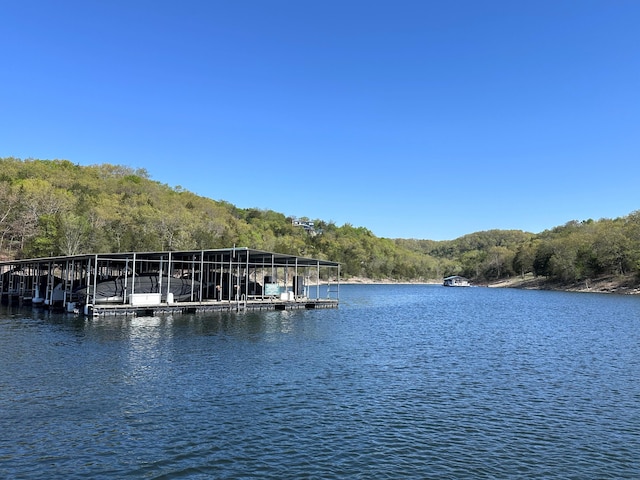10 Treehouse Ln Unit 11, Branson, MO 65616 - dock featuring a view of trees and a water view