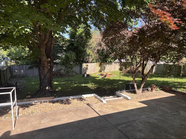 view of yard with a patio area
