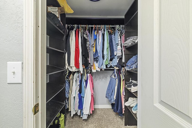 103 W Mockingbird Ln, Crane, MO 65633 - walk in closet with carpet floors