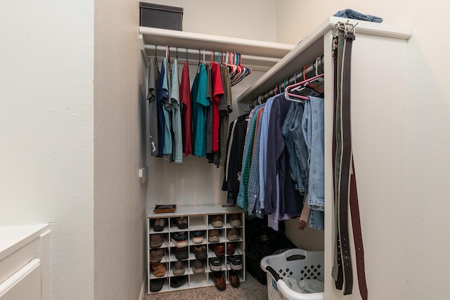 2539 S Forrest Heights Ave, Springfield, MO 65809 - view of walk in closet