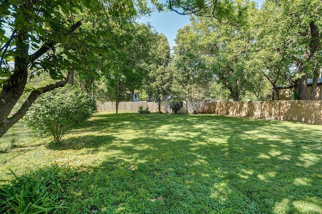 1511 E University St, Springfield, MO 65804 - view of yard