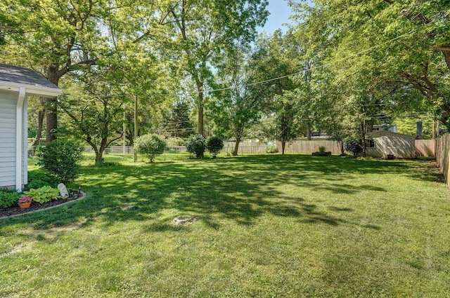 1511 E University St, Springfield, MO 65804 - view of yard
