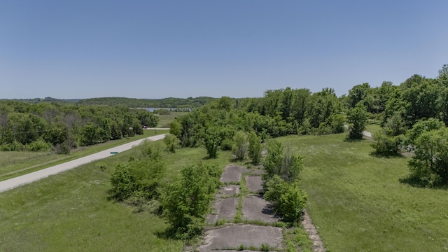 466 Commercial St, Aldrich, MO 65601 - photo 4