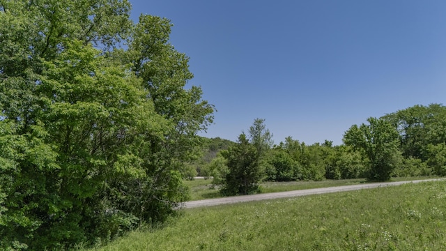 466 Commercial St, Aldrich, MO 65601 - photo 14