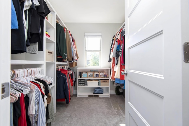 622 N Rockingham Ave, Nixa, MO 65714 - spacious closet with carpet