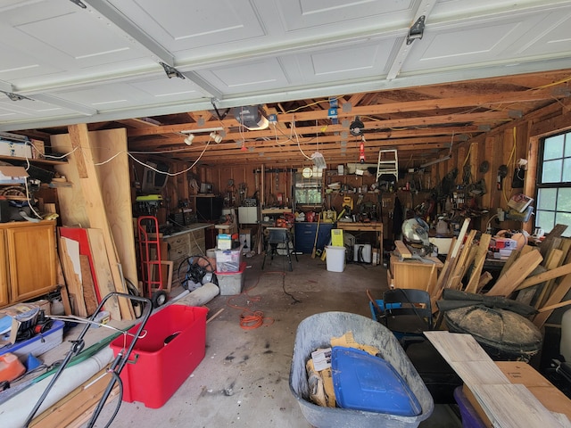 8385 Sate Highway 5, Gainesville, MO 65655 - garage featuring a garage door opener and a workshop area