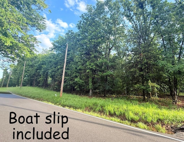 LOT17, 18 Joe Bald Rd, Kimberling City, MO 65686 - photo 1