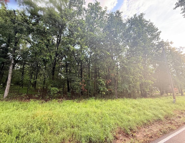 LOT17, 18 Joe Bald Rd, Kimberling City, MO 65686 - photo 2
