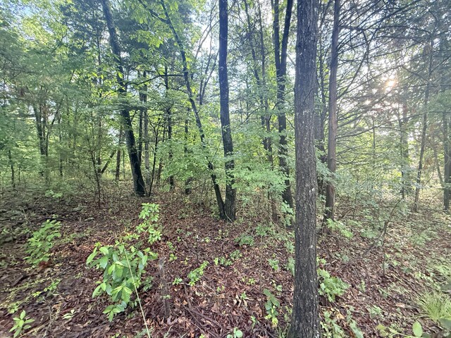 LOT17, 18 Joe Bald Rd, Kimberling City, MO 65686 - photo 3