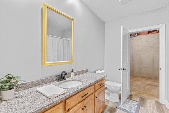 8205 Quail Ridge Ct, Nixa, MO 65714 - bathroom featuring wood finished floors, vanity, and toilet