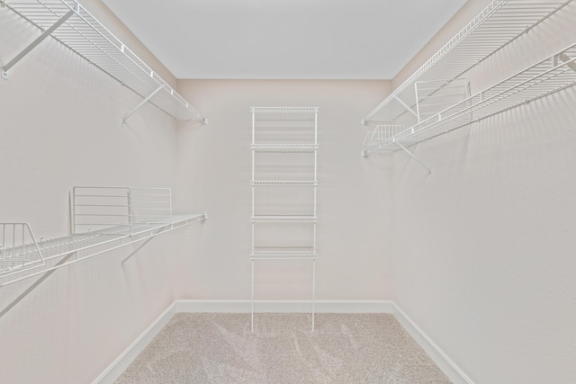 8205 Quail Ridge Ct, Nixa, MO 65714 - spacious closet with carpet flooring