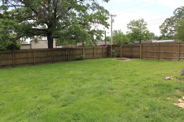 1012 E 3rd St, Monett, MO 65708 - view of yard