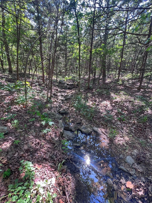 000 S 124th Rd, Flemington, MO 65650
