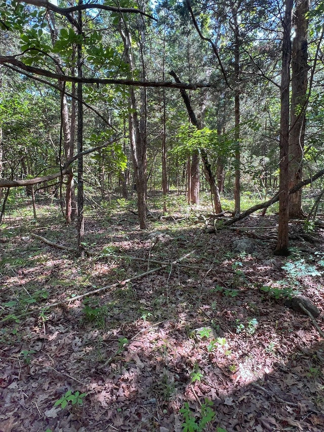 000 S 124th Rd, Flemington, MO 65650