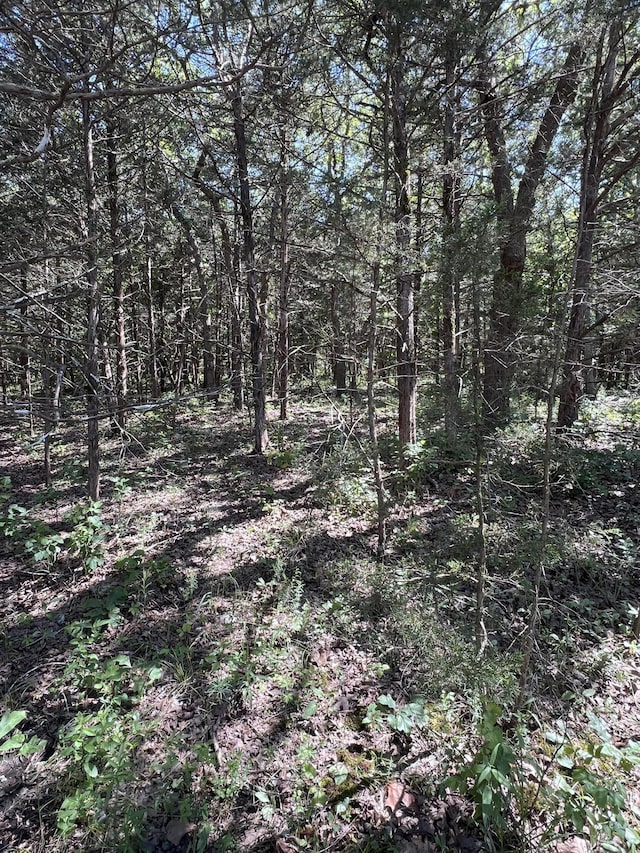 000 S 124th Rd, Flemington, MO 65650