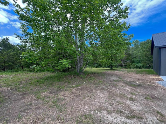 000 Reid Dr, Theodosia, MO 65761 - view of yard
