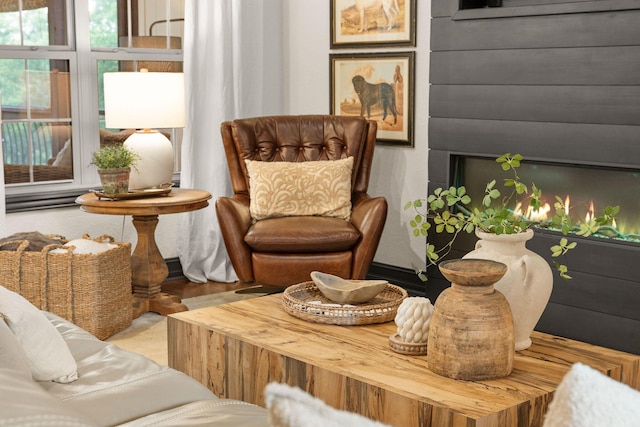 245 William Pl, Branson, MO 65616 - view of living area
