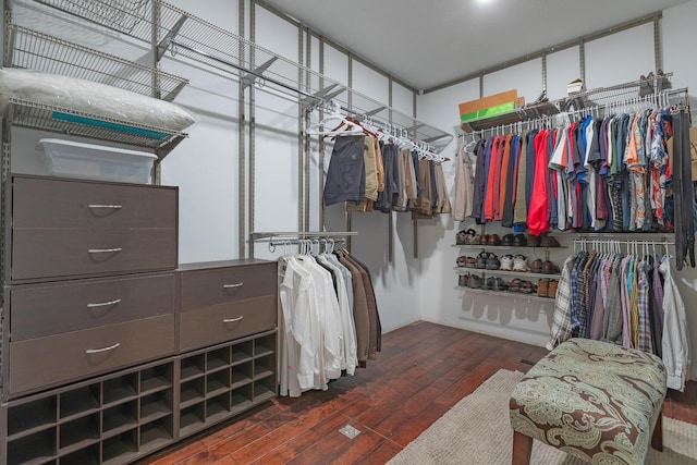 853 E Grafton Dr, Nixa, MO 65714 - spacious closet with hardwood / wood-style flooring