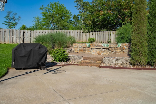 853 E Grafton Dr, Nixa, MO 65714 - view of patio featuring grilling area