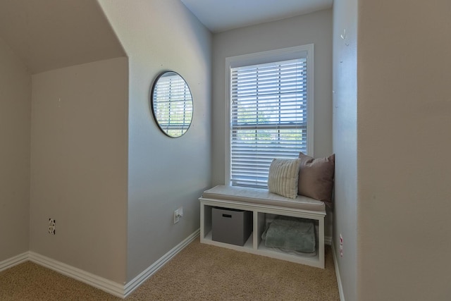 853 E Grafton Dr, Nixa, MO 65714 - detailed view of carpet floors and baseboards