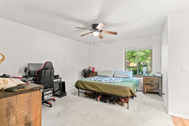 3847 S Homewood St, Springfield, MO 65807 - photo 19