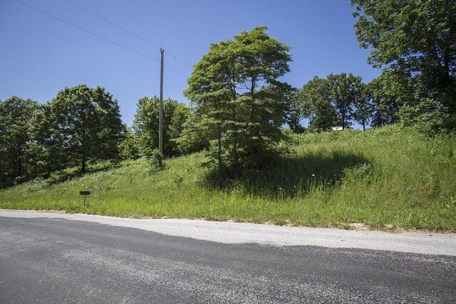 411 Steinert Ln, Ozark, MO 65721