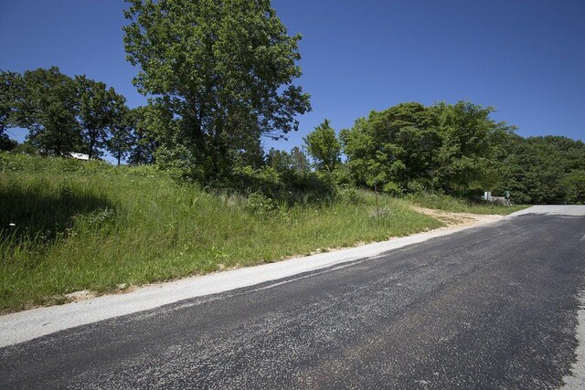 411 Steinert Ln, Ozark, MO 65721
