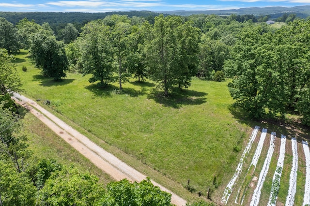 1899 State Highway Dd, Ava, MO 65608 - bird's eye view of a forest