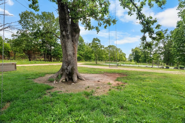 1899 State Highway Dd, Ava, MO 65608 - view of green lawn