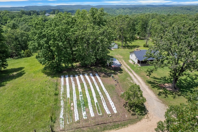 1899 State Highway Dd, Ava, MO 65608 - view of subject property with a forest