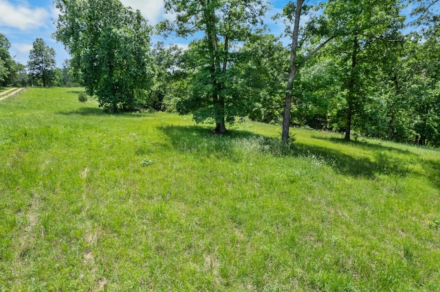 1899 State Highway Dd, Ava, MO 65608 - view of local wilderness