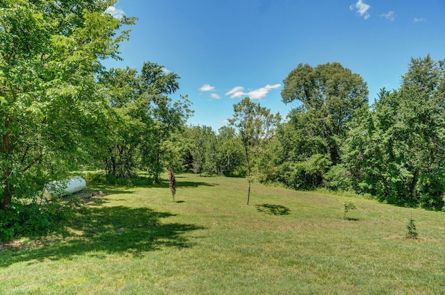 8403 Lawrence Unit 1040, La Russell, MO 64848 - view of green lawn