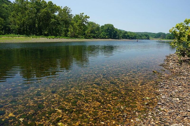 280 Wimbledon Dr Unit 8, Branson, MO 65616 - water view with a heavily wooded area