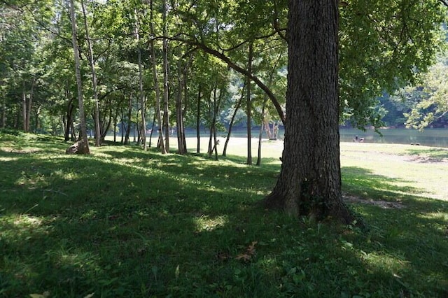 280 Wimbledon Dr Unit 8, Branson, MO 65616 - view of nature with a nearby body of water