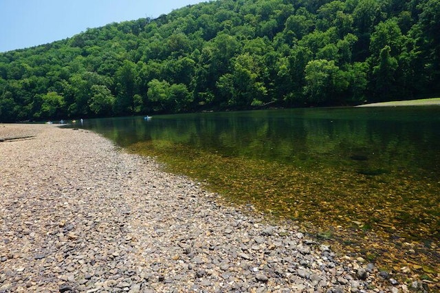 280 Wimbledon Dr Unit 8, Branson, MO 65616 - water view with a heavily wooded area