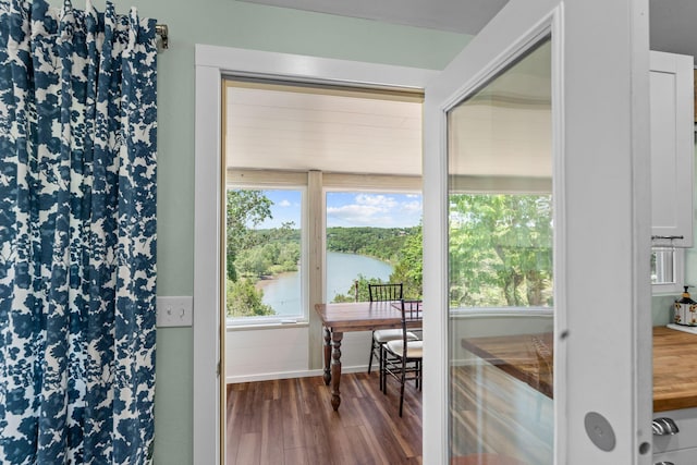27841 Old Pace Ln, Shell Knob, MO 65747 - entryway with wood finished floors and a water view
