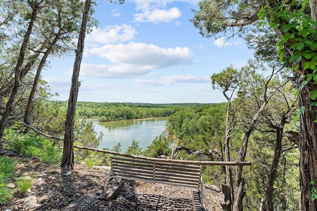 27841 Old Pace Ln, Shell Knob, MO 65747 - water view featuring a heavily wooded area