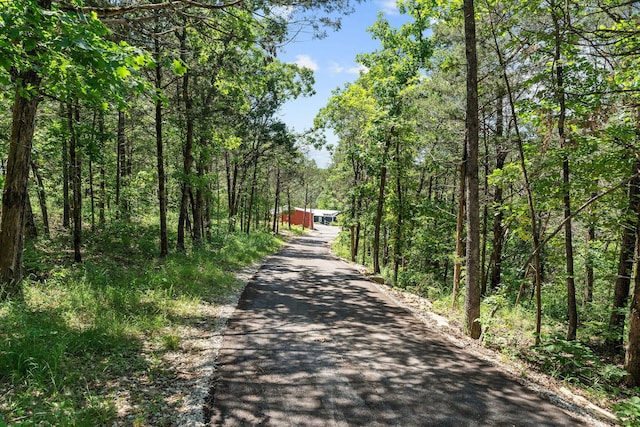 27841 Old Pace Ln, Shell Knob, MO 65747 - view of road featuring a wooded view