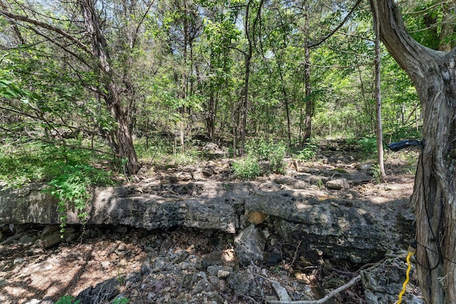 27841 Old Pace Ln, Shell Knob, MO 65747 - view of wooded area