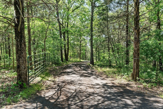 27841 Old Pace Ln, Shell Knob, MO 65747 - view of street featuring a view of trees and a gate