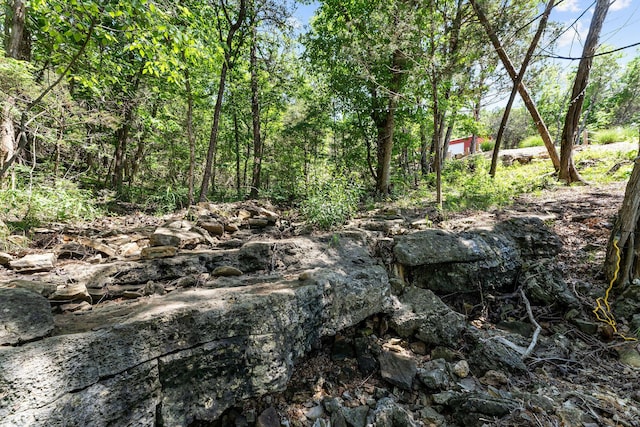 27841 Old Pace Ln, Shell Knob, MO 65747 - view of nature