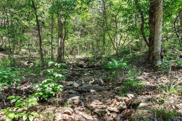 27841 Old Pace Ln, Shell Knob, MO 65747 - view of wooded area
