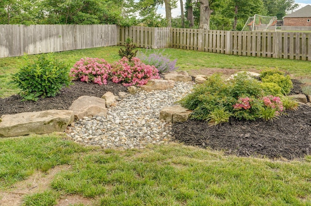 735 N Fox Hill Cir, Nixa, MO 65714 - view of yard